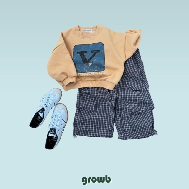 《送料無料》予約:Vトレーナー【growb】