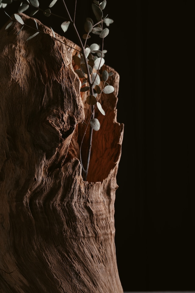 楠-kusunoki- Standing Form