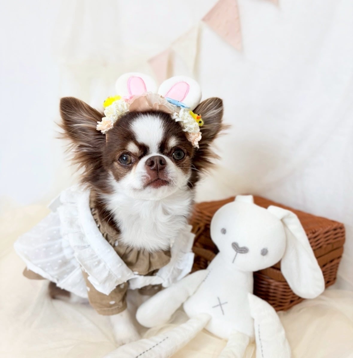 うさぴよイースターヘアバンド