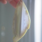 Water Flow 05 - アゲートヒーリングチャイム / Agate Healing Chime 1368