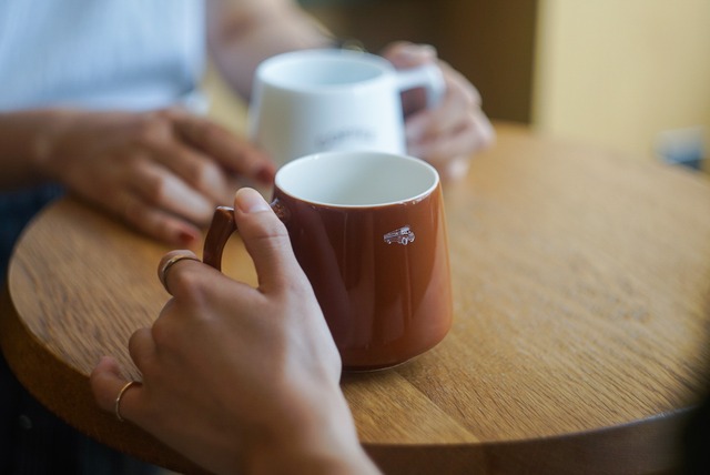 Sakai mug cup -Brown-