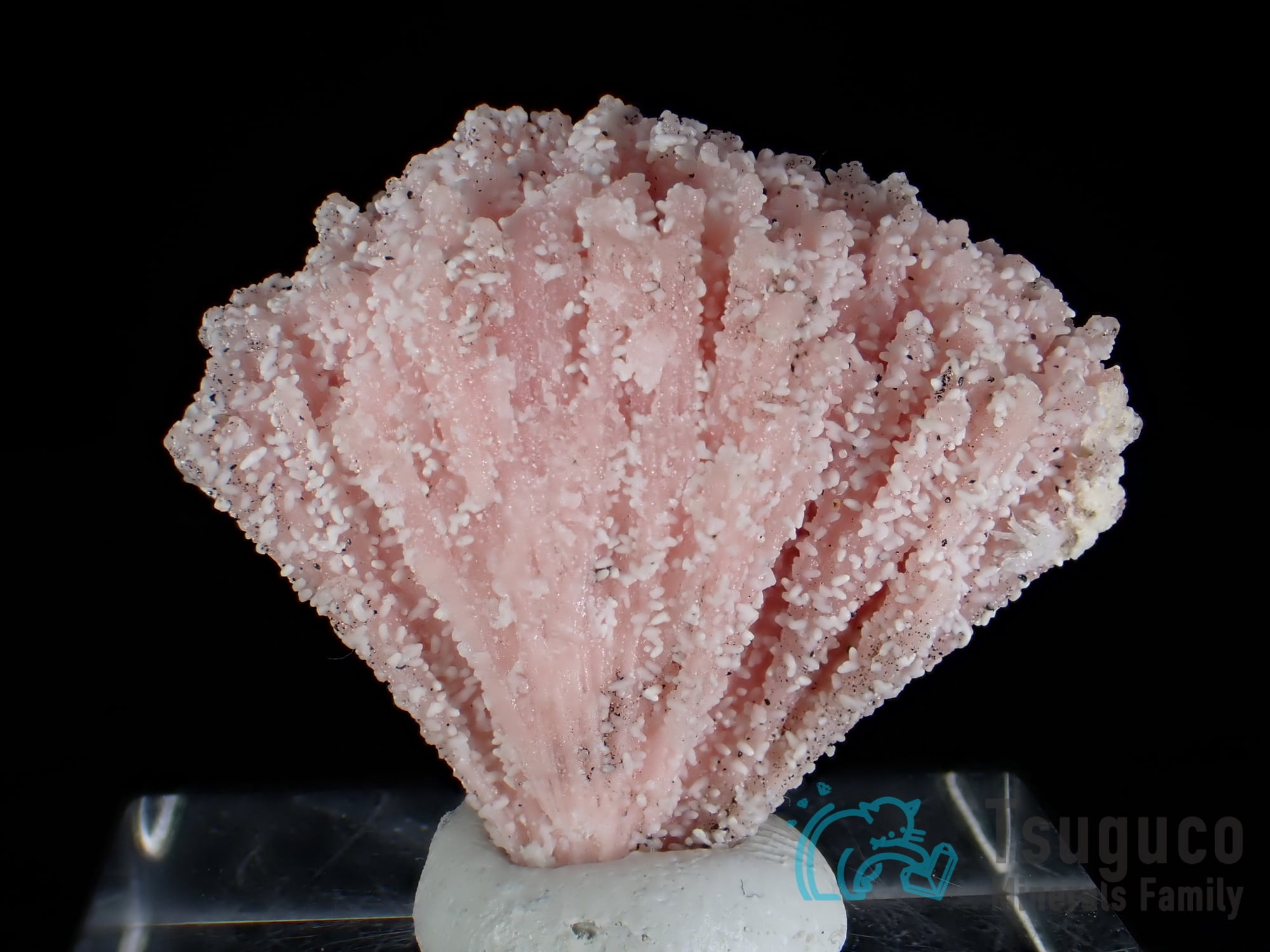 クトナホライト クトナホラ石 南アフリカ TM-684 seller's own