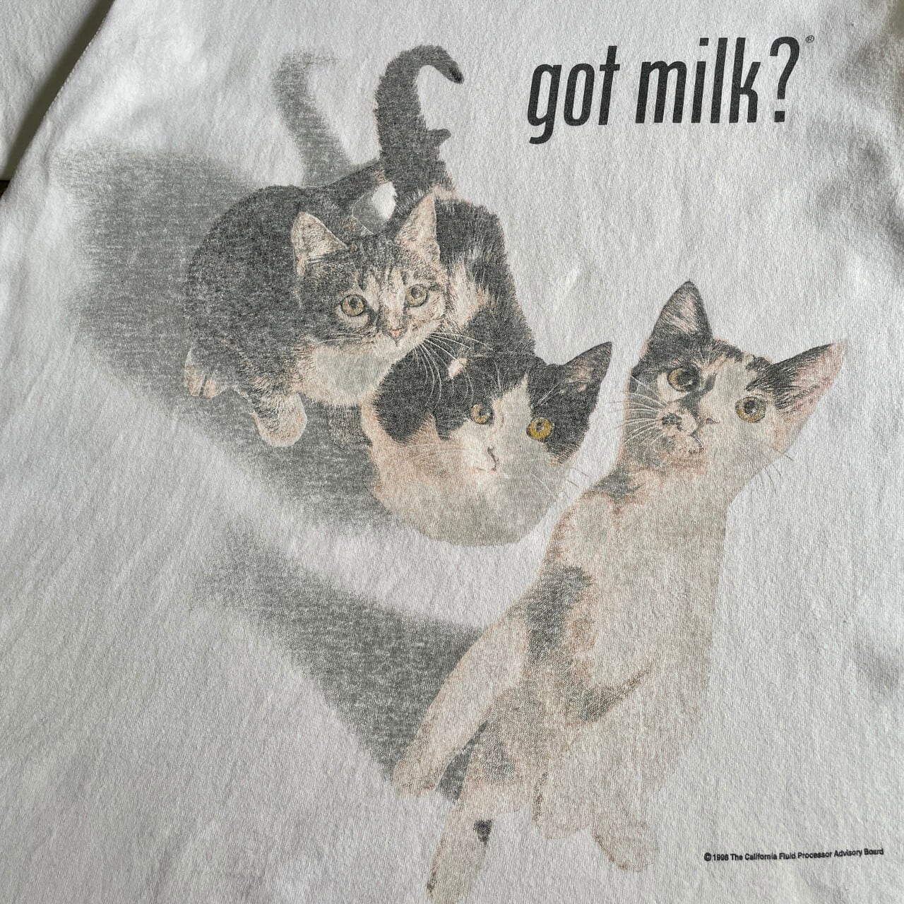 90年代 got milk? 猫 アニマル アート プリントTシャツ メンズM 古着 