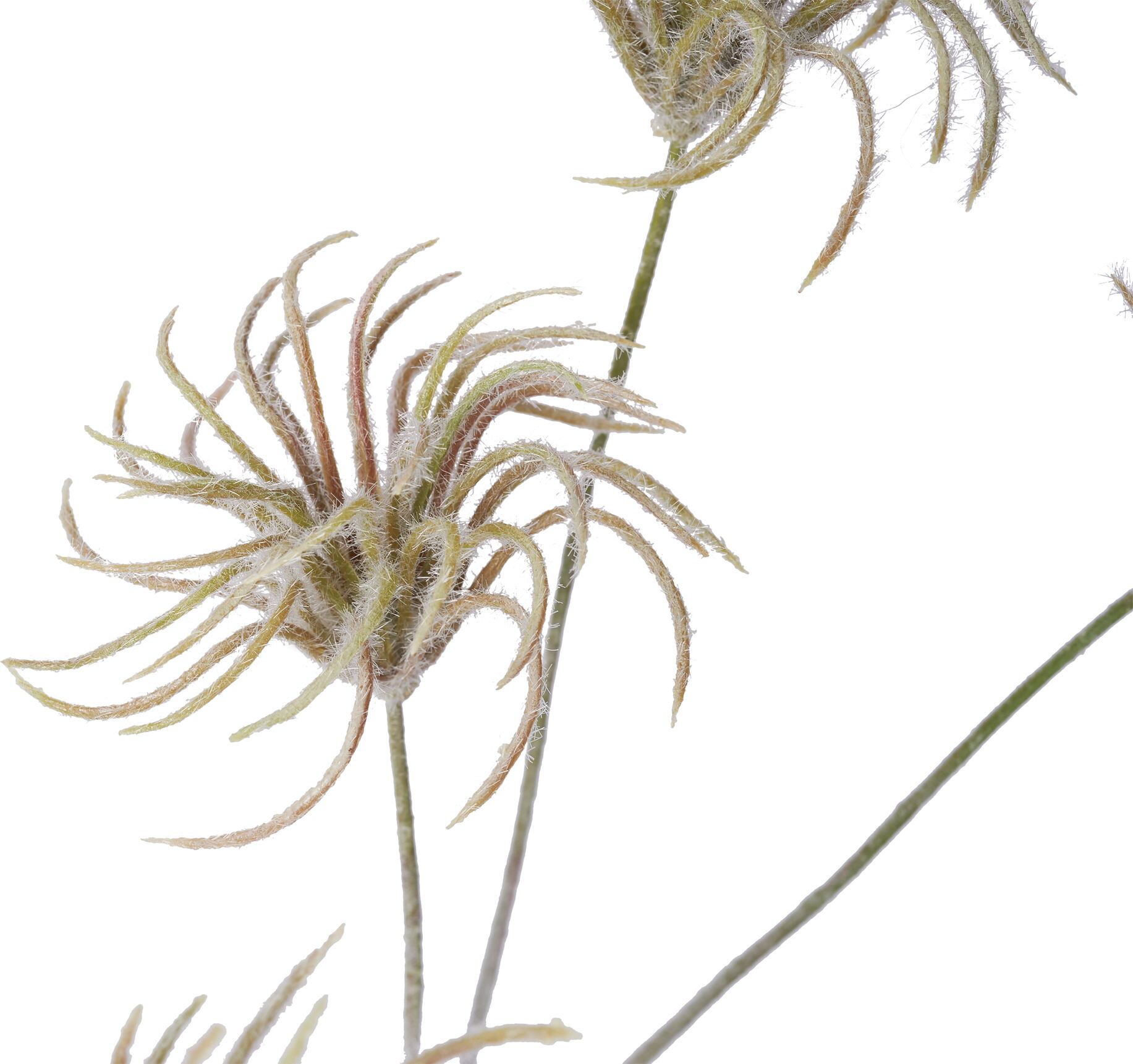 テッセンシード　ブラック系　FA-7314GRY　4961823760600　造花（アーティフィシャルフラワー） > 定番造花フラワー（素材）