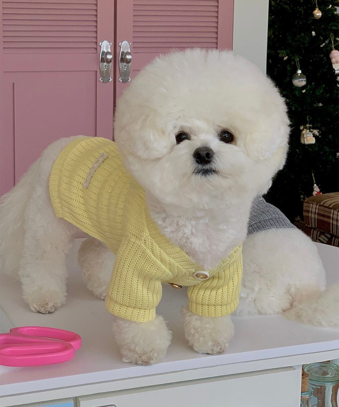 【seenii】SoftSoap cardigan (butter)