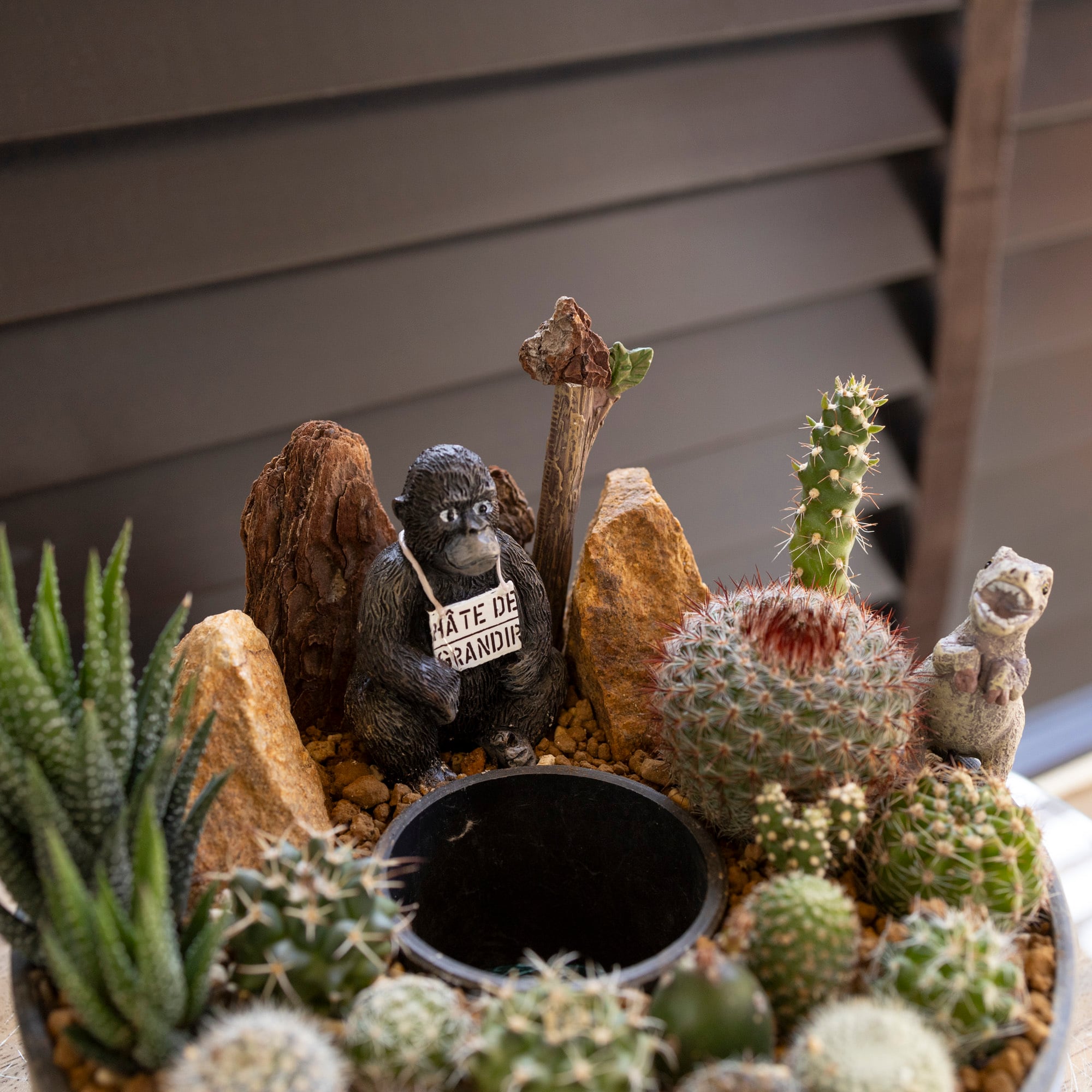 サボテン リース 寄せ植え 箱庭 多肉植物 ミニ 観葉植物 プレゼント