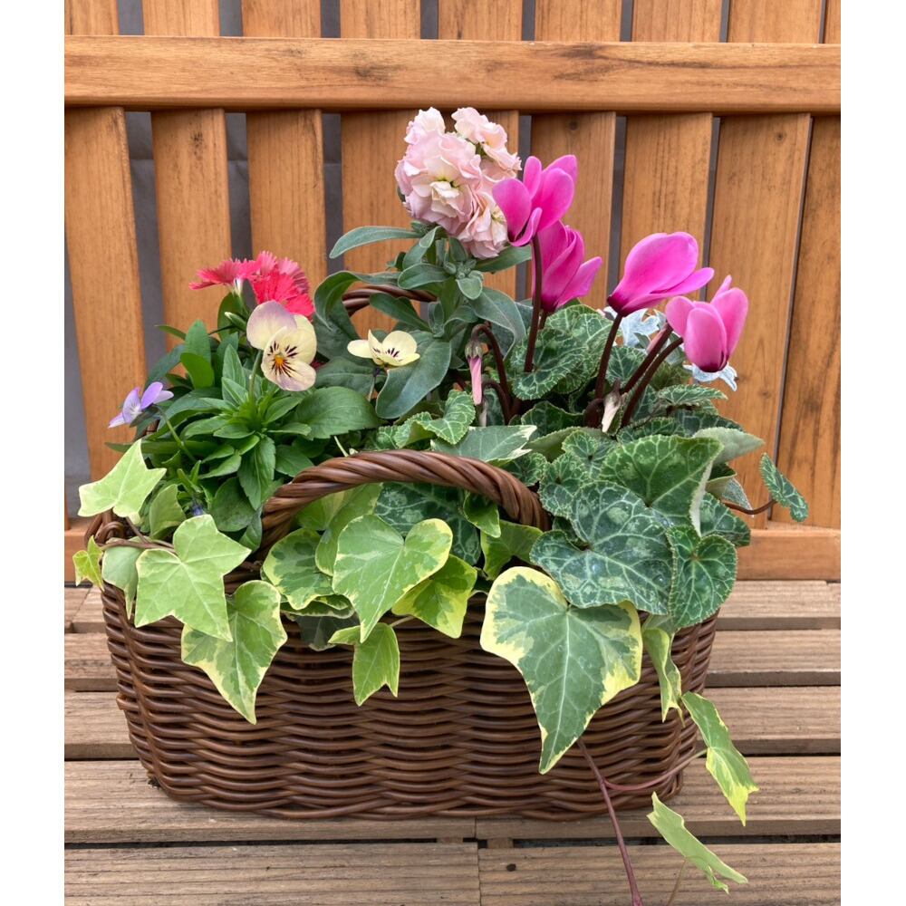 はなはなぐりゅっけ