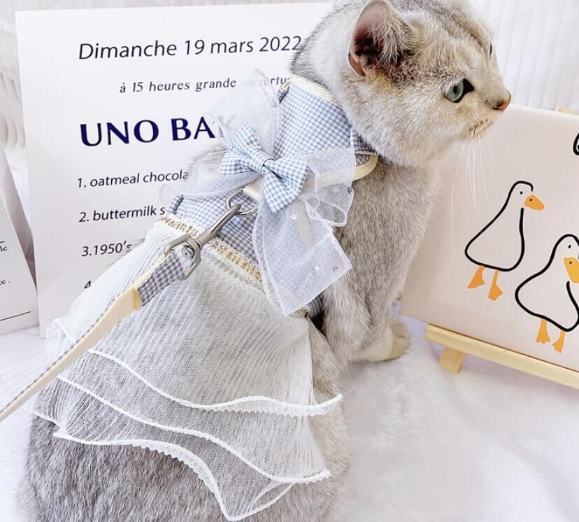 《予約》210911 ギンガムチェックハーネス