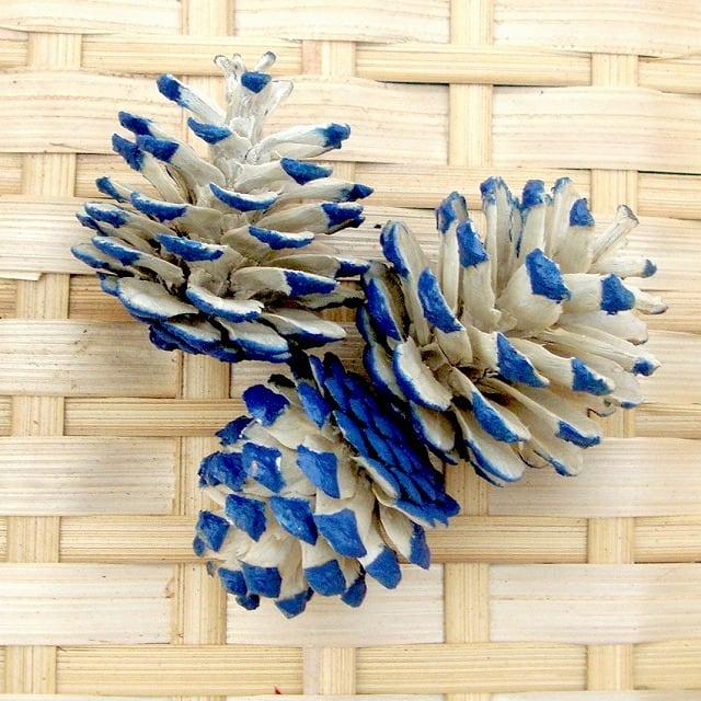 c72a5f88848ab3d867563cba8ffdea