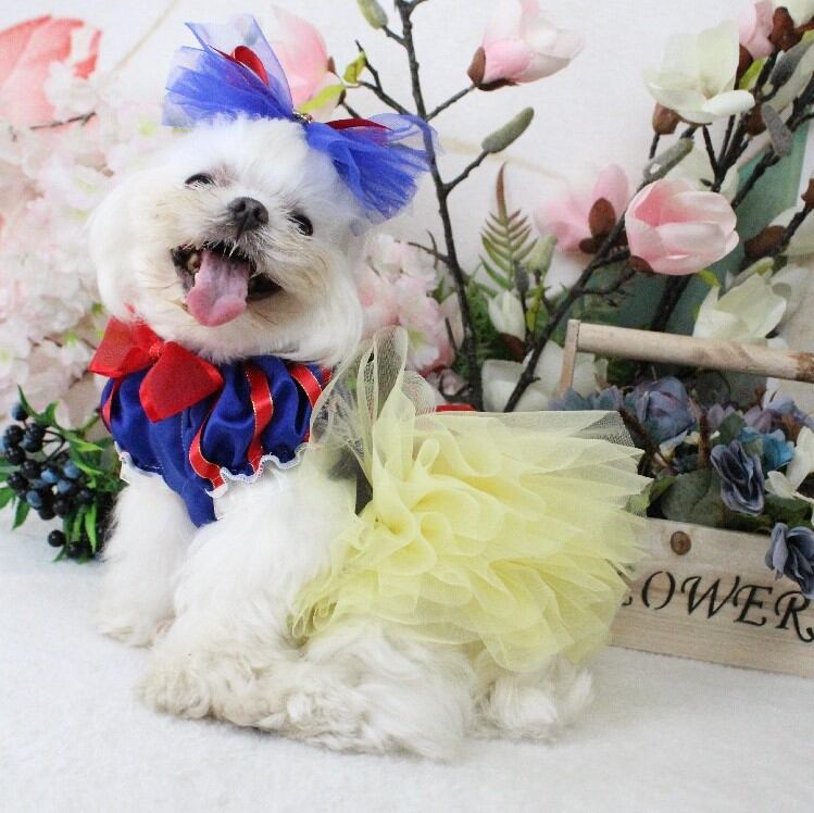 大型犬もOK プリンセスワンピース | おむのおうち