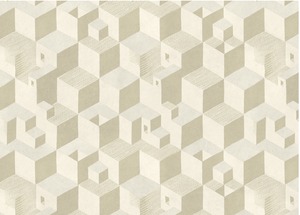 輸入壁紙　M.C.ESCHER　CUBE