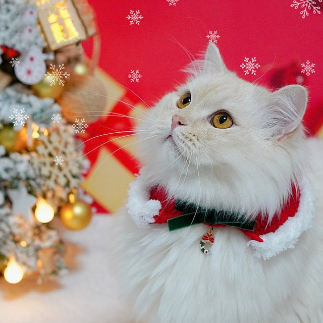 サンタケープ&帽子セット クリスマス