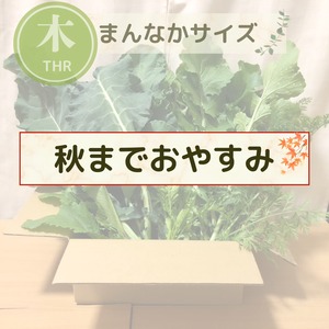 【11月より再開予定】＜木曜日に収穫・発送＞【まんなかサイズ】季節のお野菜セット