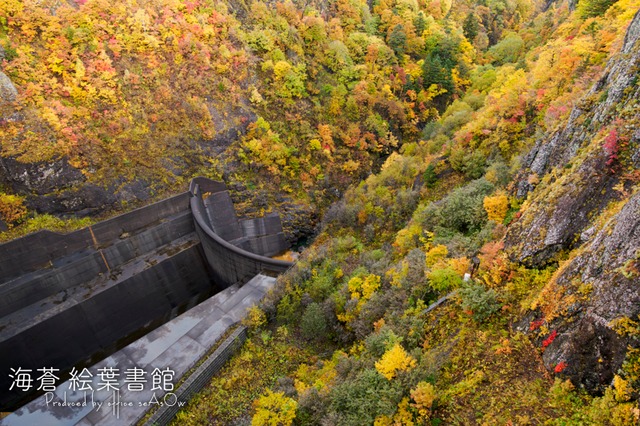 【ポストカード】吸い込まれる錦秋