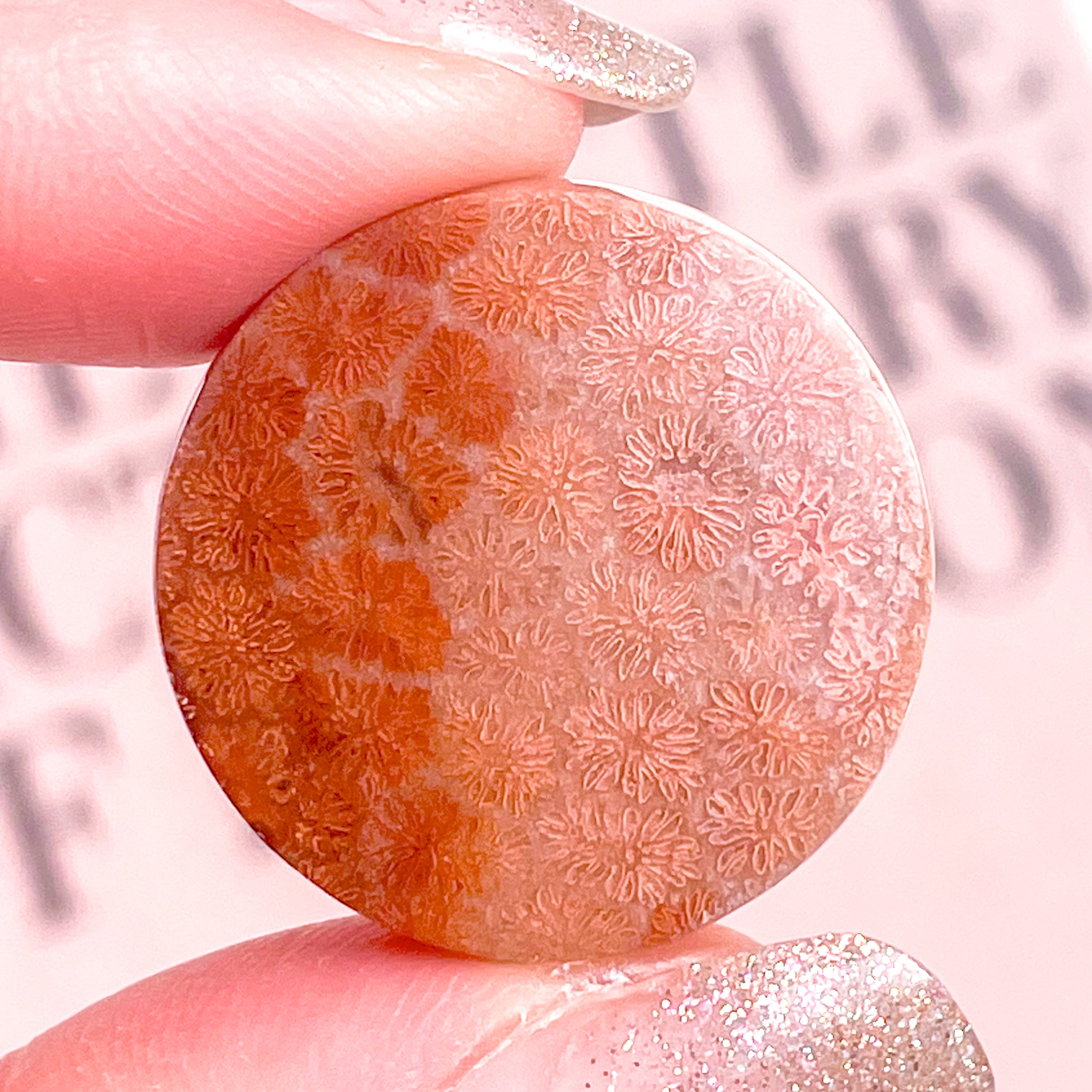 ＊＊COCO＊＊　14kgf フォッシルコーラル ピアス skygray様専用 フォッシルコーラル7点 COCO＊＊ 14kgf フォッシル