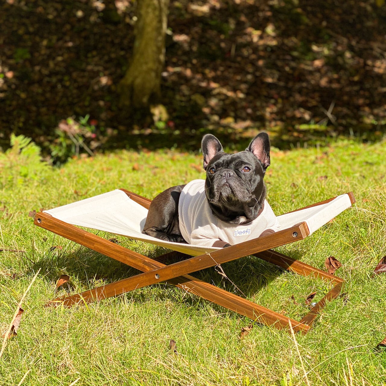 BULL COT Lサイズ (おしゃれ シンプル 室内 キャンプ コット ベッド