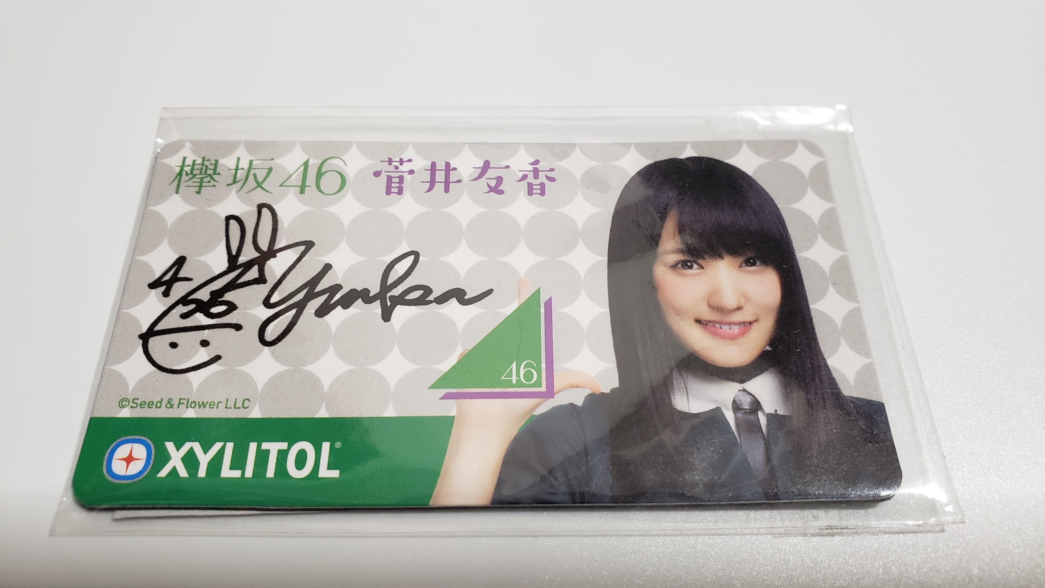 欅坂46 菅井友香 看取れ 永谷園