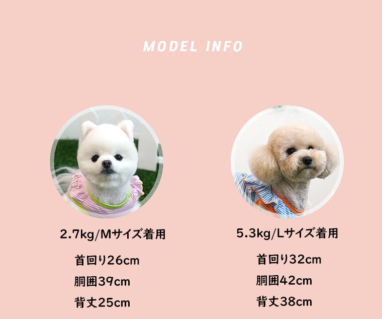 【SALE】sunny frill top S ~ XL 2color / 犬服 春夏 新作 袖なし トップス 可愛い ドッグウェア わんこ服 Tシャツ