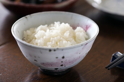 雪中華 飯碗（反り口型）作：谷井芳山・谷寛窯（信楽焼）