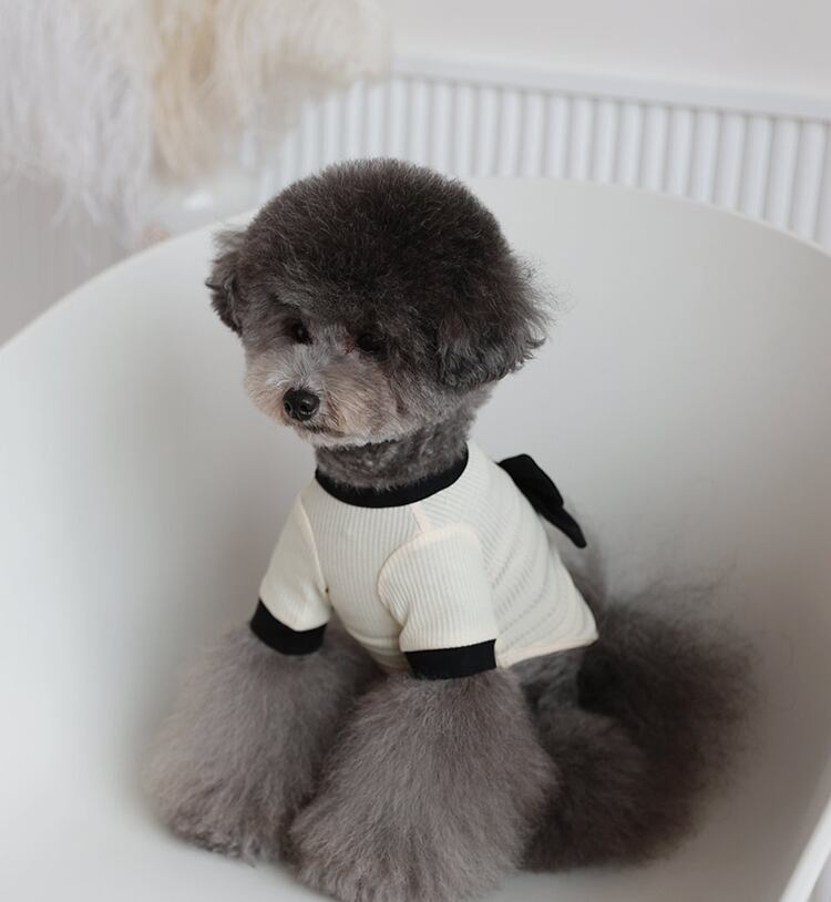 Onz Ribbon Knit T-shirt S ~ XL 4color / 犬服 新作 ニット 可愛い 犬の服 Tシャツ リボン トップス お揃い ドッグウェア b54