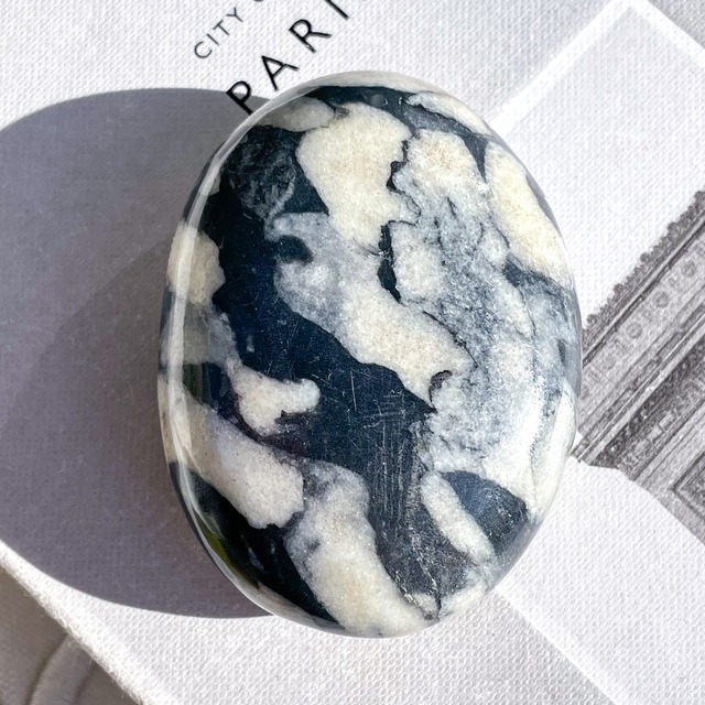 She'll Jasper Palmstone ✧ シェルジャスパー