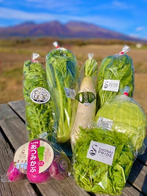 【定期便】つや姫の新米（白米）5kg＋秋冬の野菜セット（6-7品目）