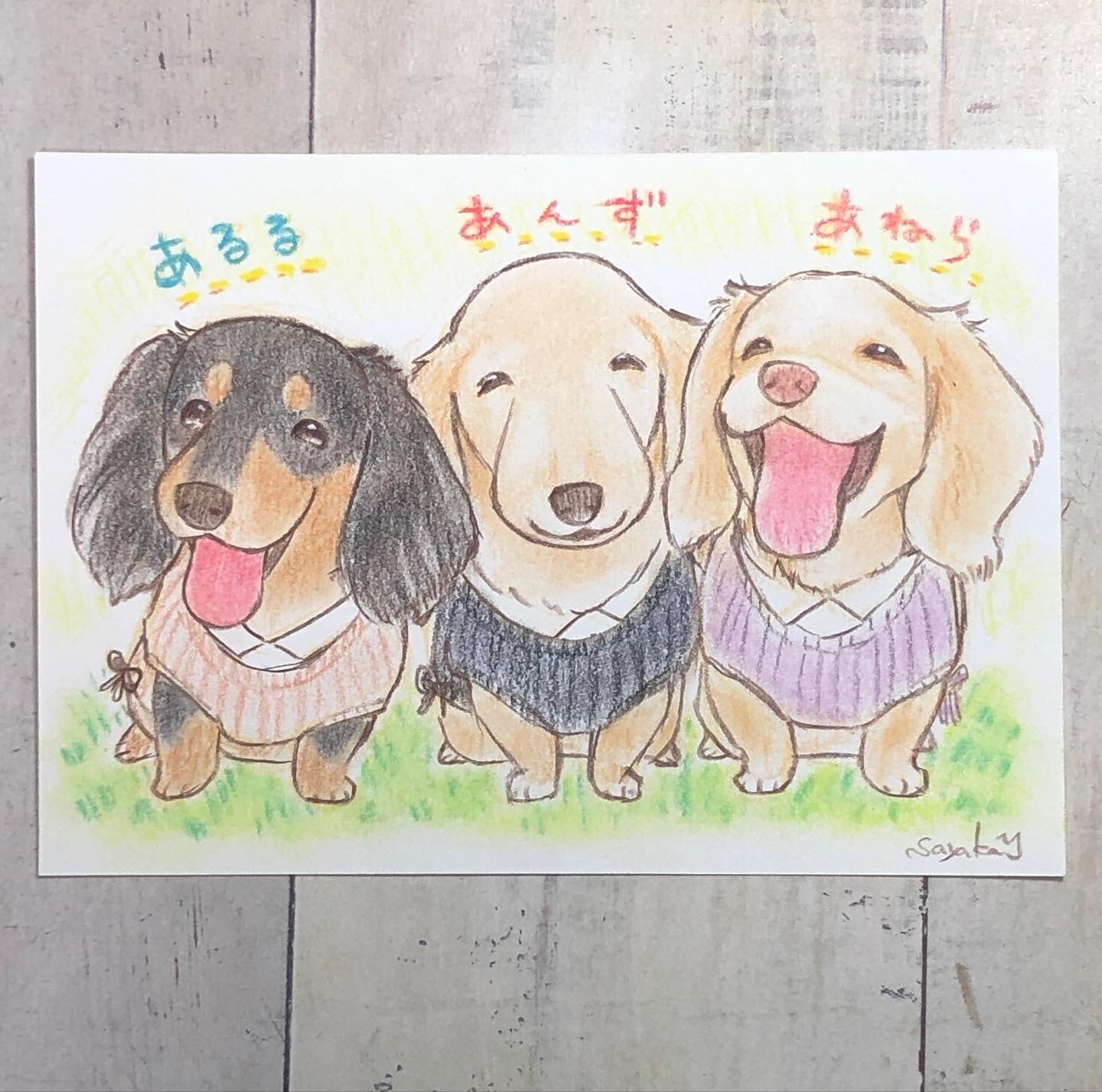 ポストカード似顔絵三頭分 | ペットイラストはぐもふ