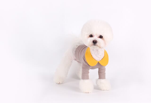 【SALE】creamy kara t-shirt S ~ XL  /  犬服 春夏 新作 可愛い 犬の服 トップス 長袖 ドッグウェア ストレッチ 小型犬 中型犬 ペット