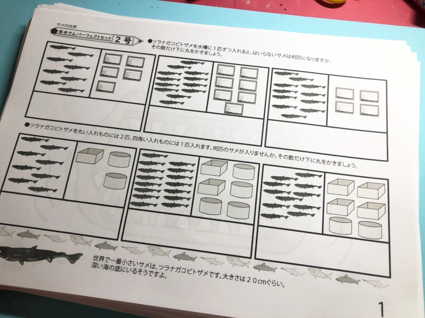 年中さんパーフェクトセット2号