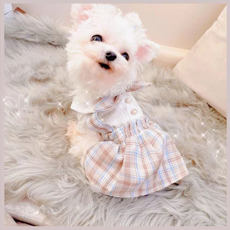 エアリーブルー&ベージュのチェック柄ワンピース 犬服 00759