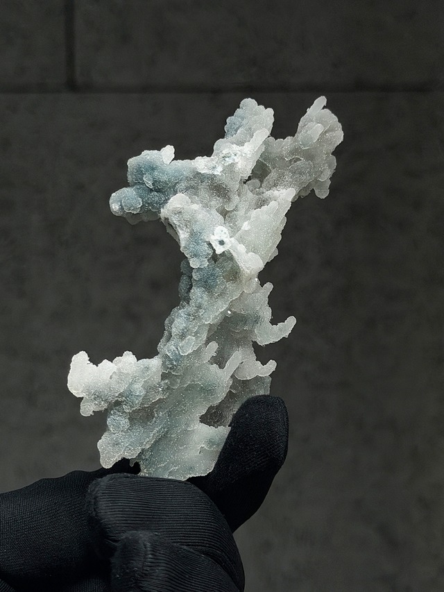 ブルーカルセドニーコーラル【ML-0176】インド