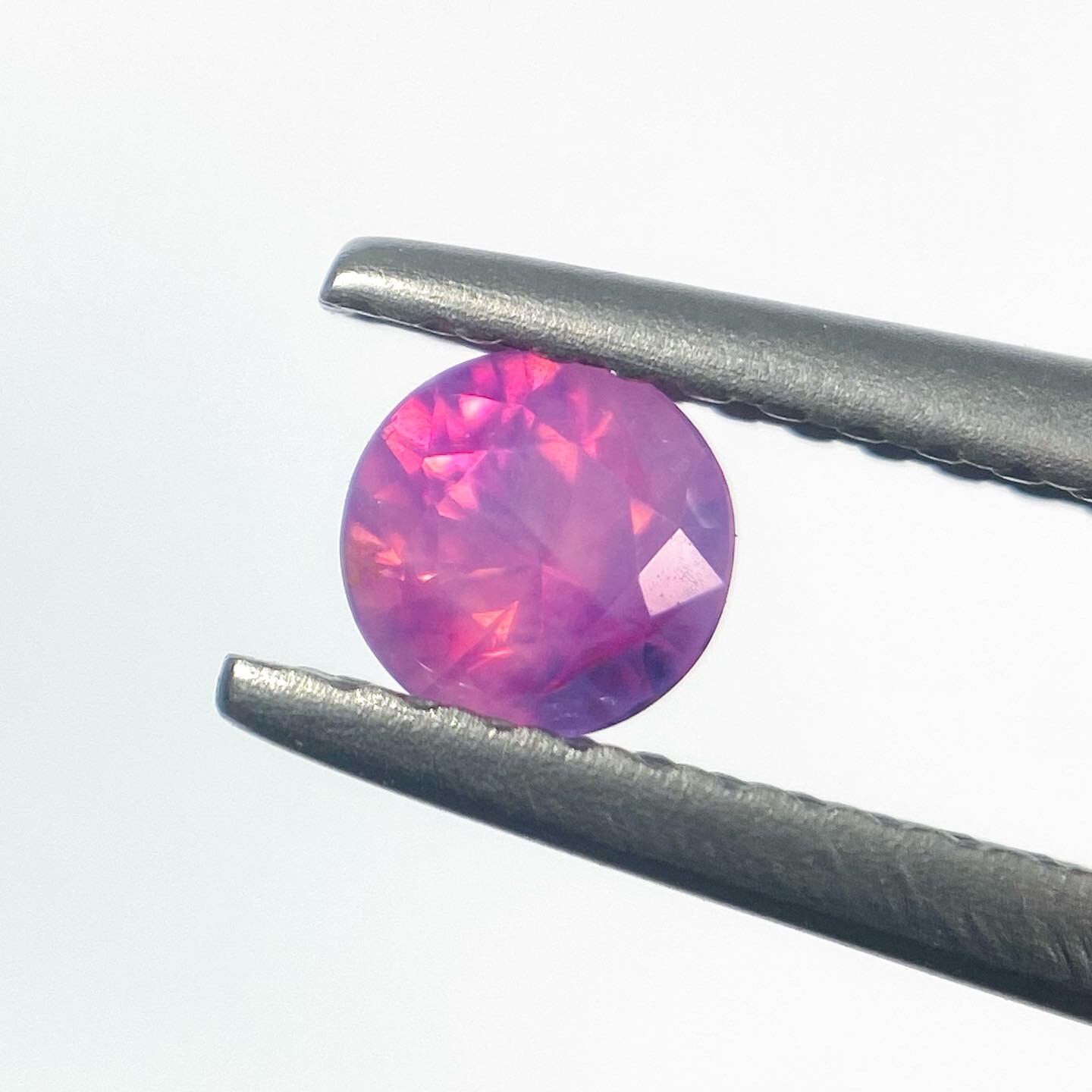 カトレア サファイア