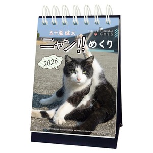 【在庫処分】2026年カレンダー ニャン!!めくり/五十嵐健太