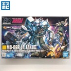 HG 1/144 シン・マツナガ専用ザク