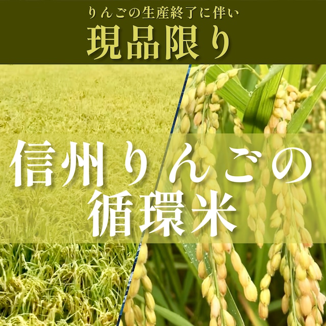 HBDセール！全国送料無料！『信州りんごの循環米』3袋5.4kg(約36合)  1/19 23:00まで