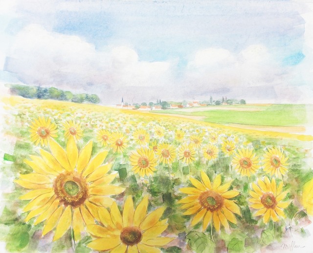 ひまわりの野原 | Le Champ de Tournesols