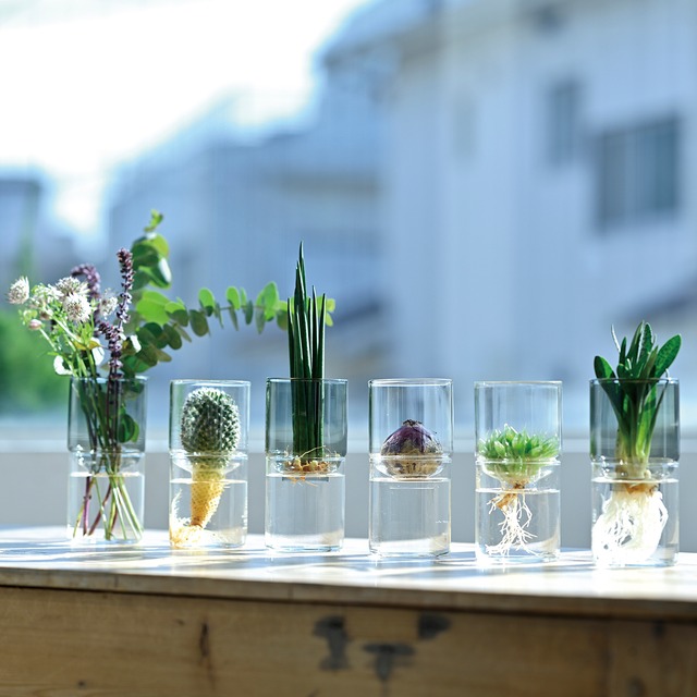 HARIO　ガラスの花器