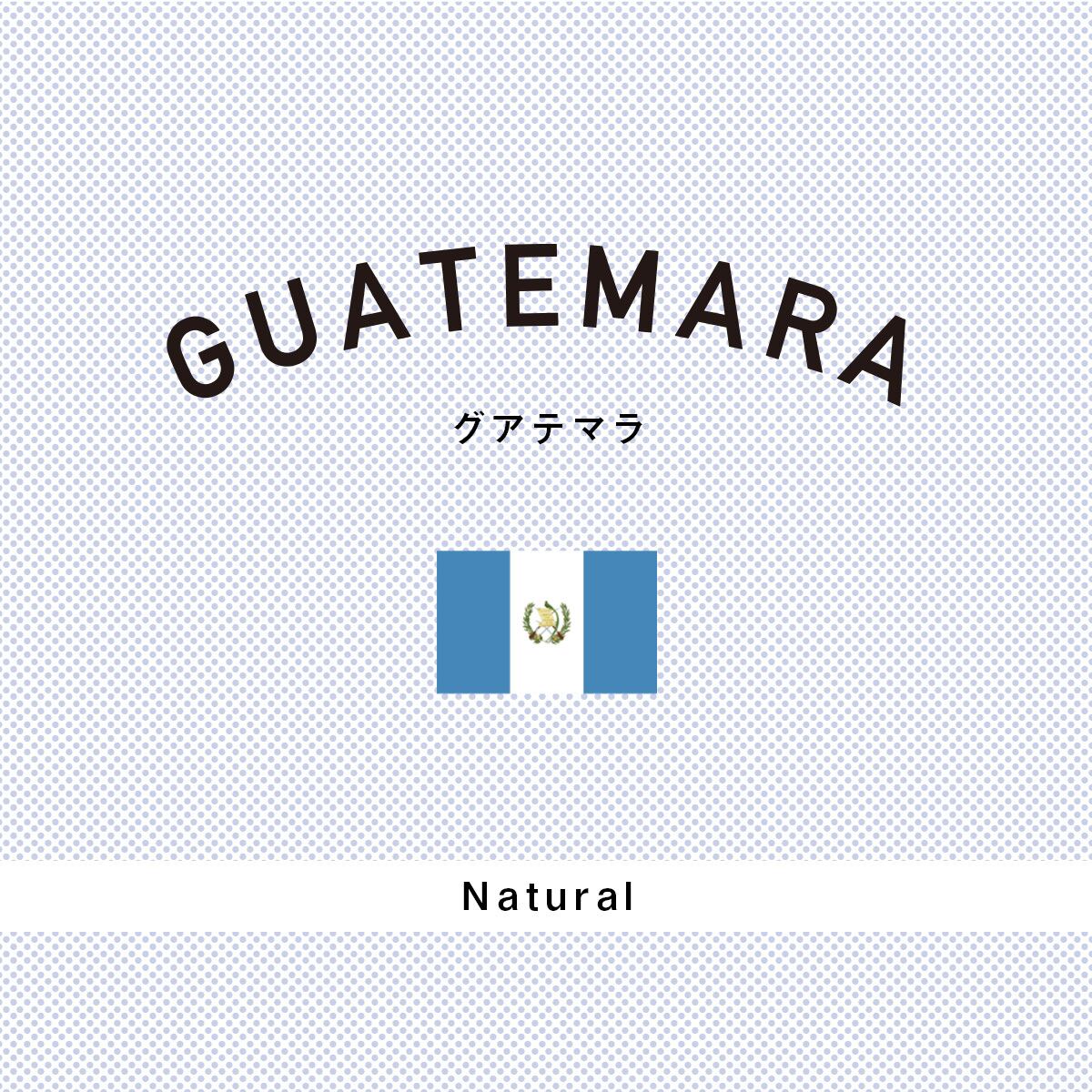 グアテマラ|浅煎り −High Roast−|200g