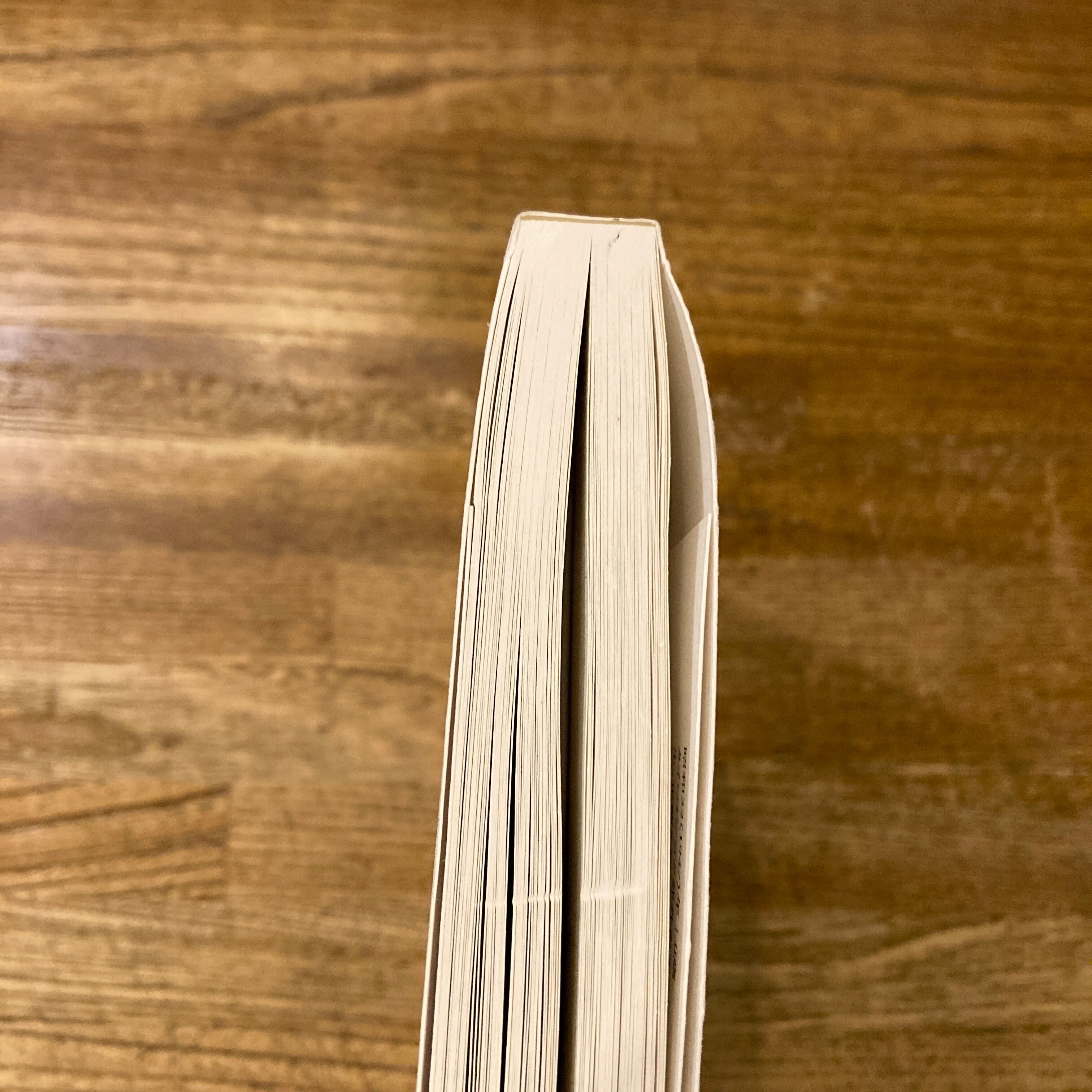 はな子のいる風景 イメージを（ひっ）くりかえす | 百年