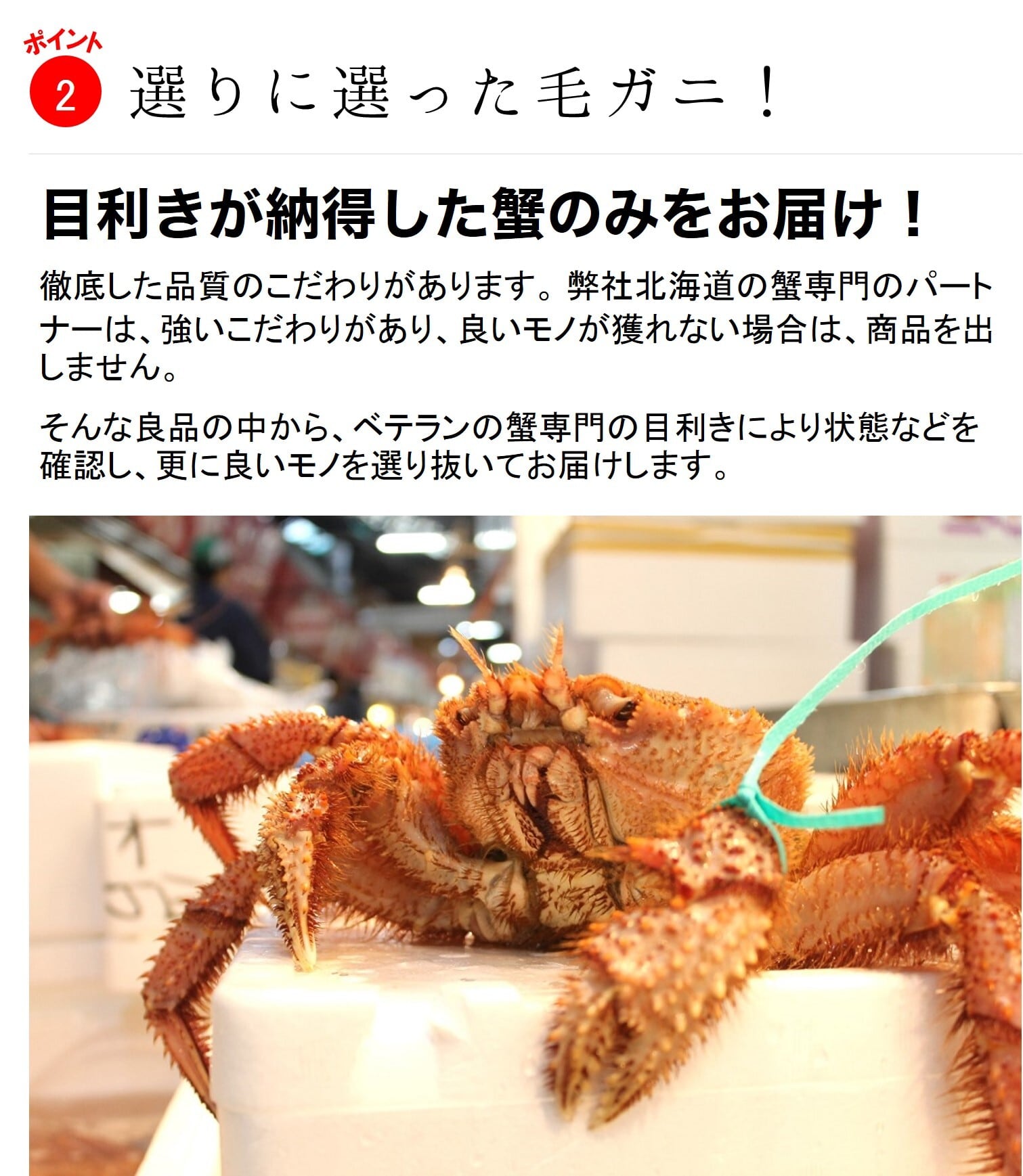 タラバガニ 姿 訳あり 足折れ 3.2キロ年始特価価格訳あり活 タラバガニ 姿 訳あり 足折れ 3.2キロ年始特価価格訳あり活
