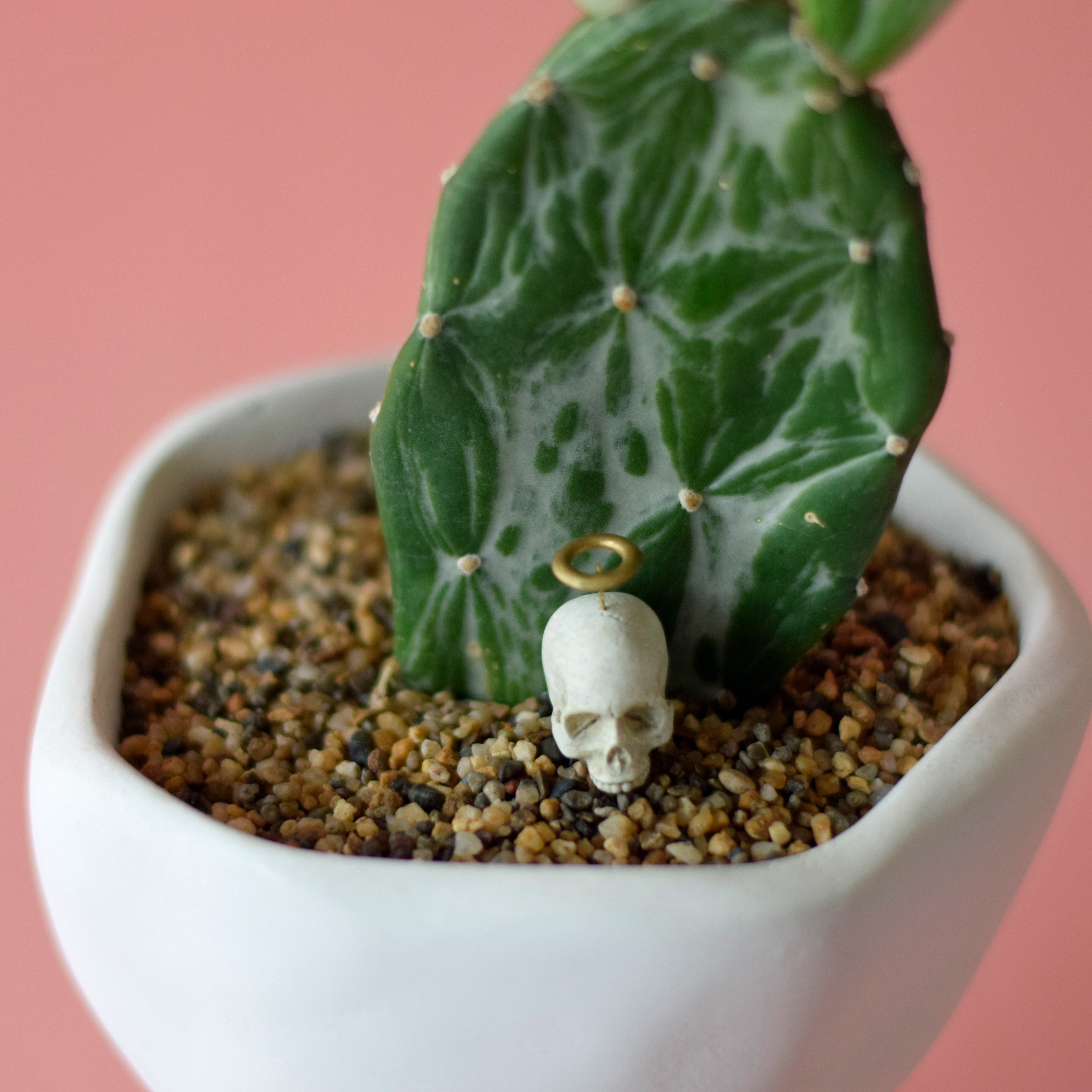 walk pot stroller(white) サボテン・初日の出 | Sabotensi