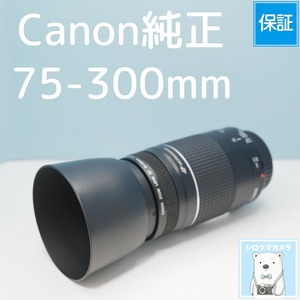 Canon純正 75-300mm EFマウント用 望遠レンズ シロクマカメラ a7803