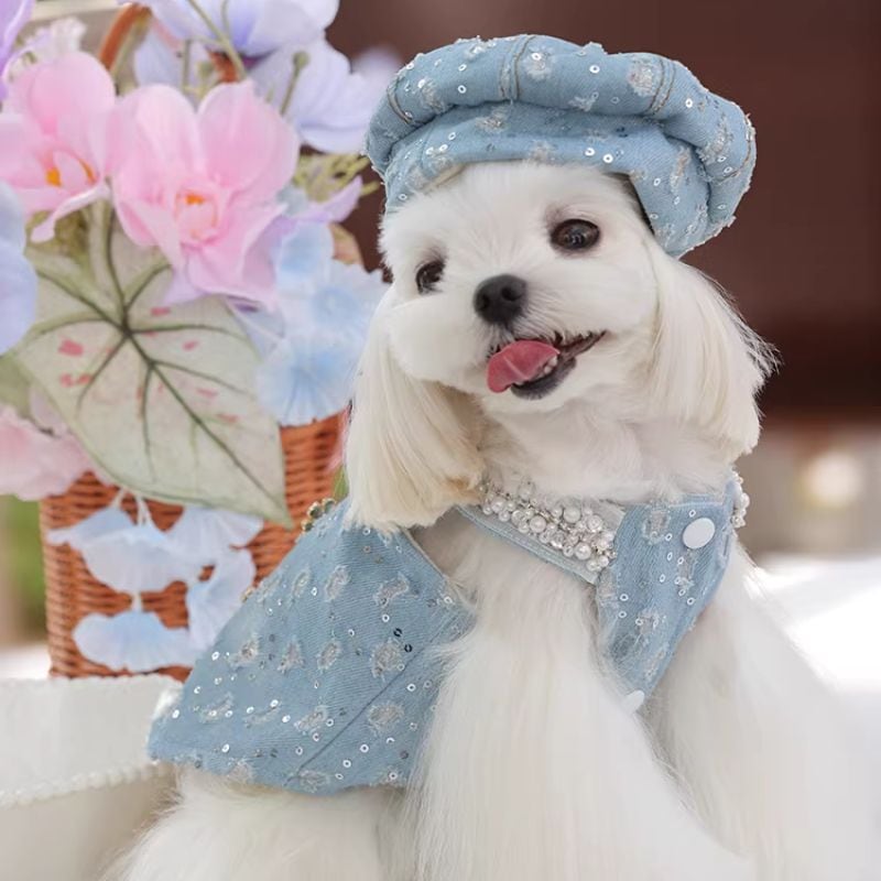 おしゃれデニムのサロペットスカート 犬服 01093