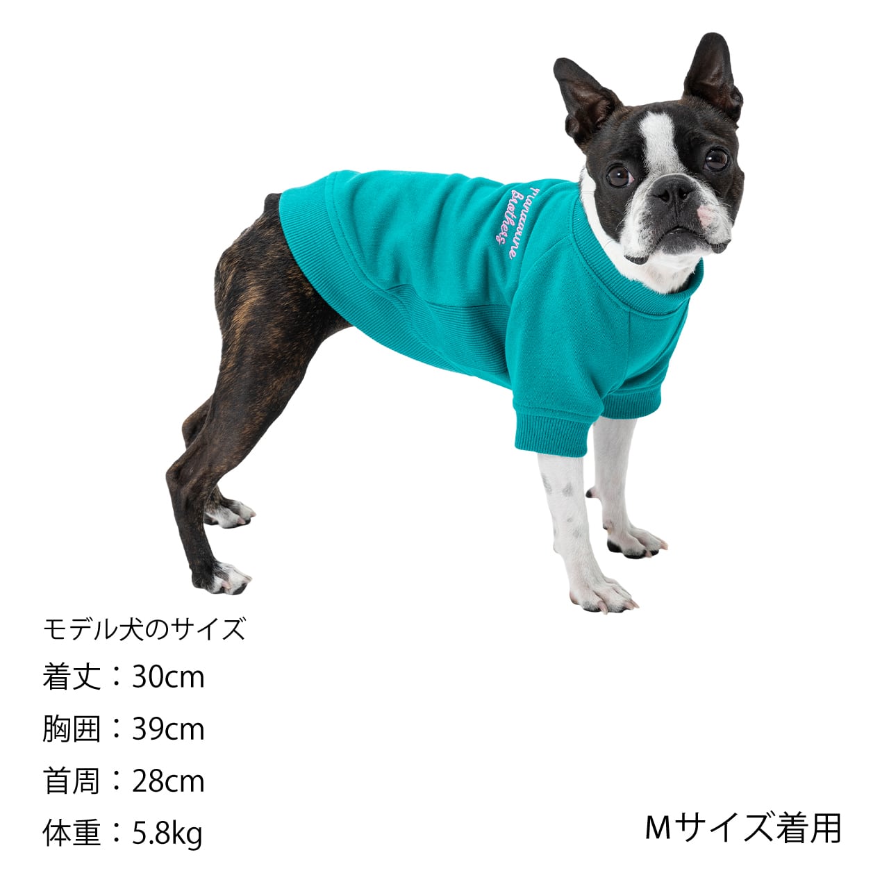 SIDE PANEL SWEAT（3L.4L.5L） サイドパネルスウェット | MANDARINE