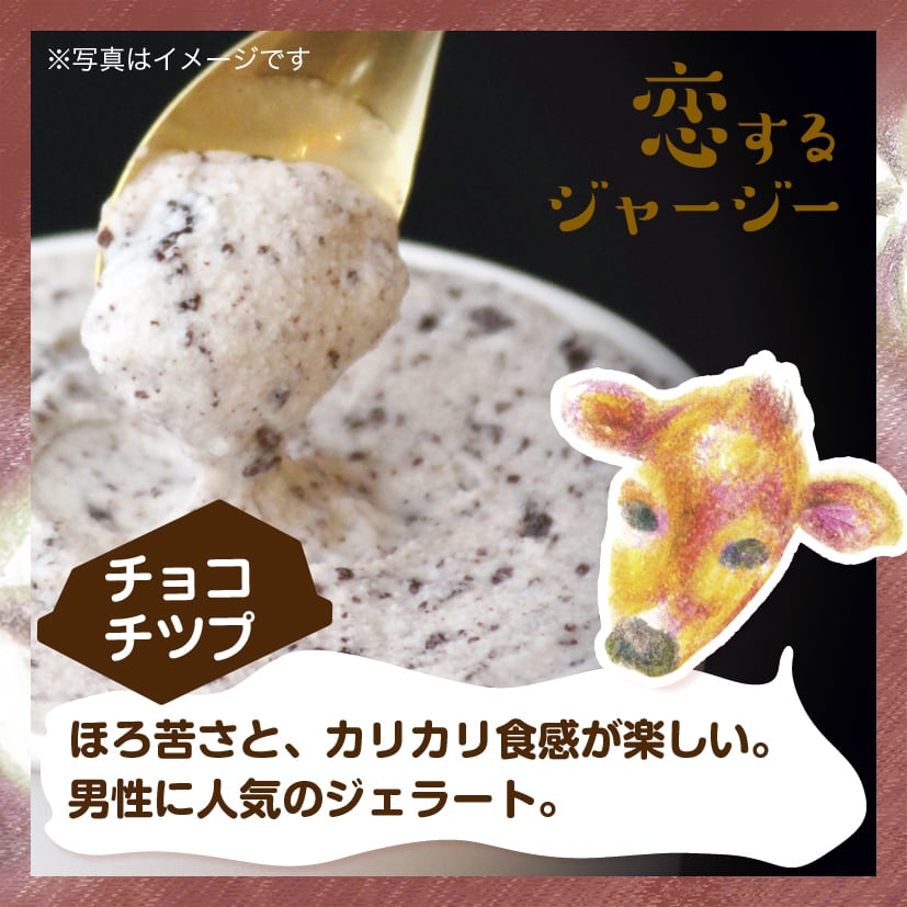 ☆恋するジャージーチョコチップジェラート□6個入り□ | ジェラート醍醐桜