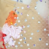 社交ダンス 衣装 ジャンティ gentil Chisaki uga スタンダードドレス ワンピース スタンダード ファー 羽 デモ 競技 ダンス パーティ 発表会 オレンジ レース 宇賀千咲 オレンジ系 ブラウン系 ベージュ系 茶色 ふわふわ おしゃれ デザイン オートクチュール 高品質 上位ブランド レディース 競技用 柔らかい