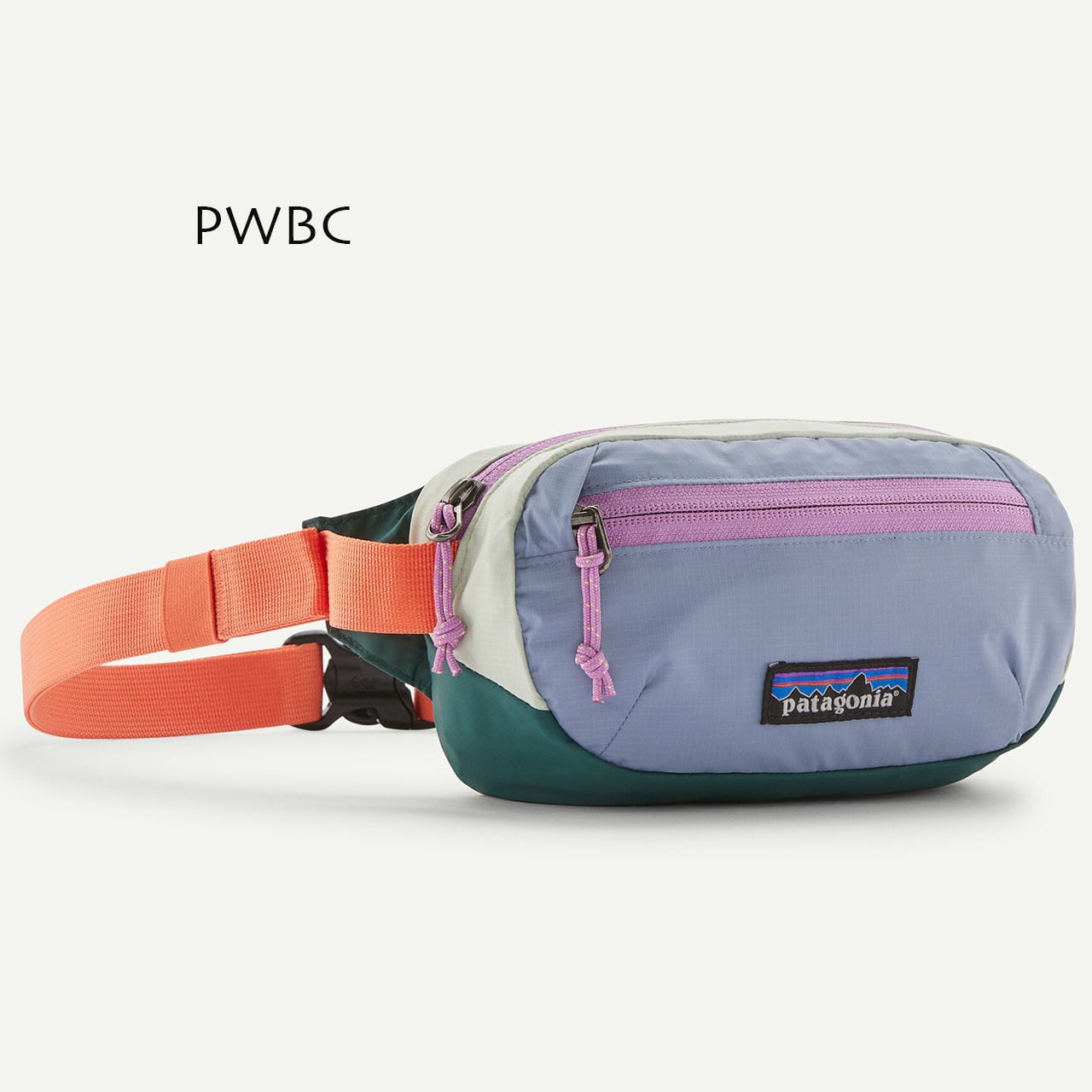 Patagonia [パタゴニア正規代理店] Terravia Mini Hip Pack 1L [49448