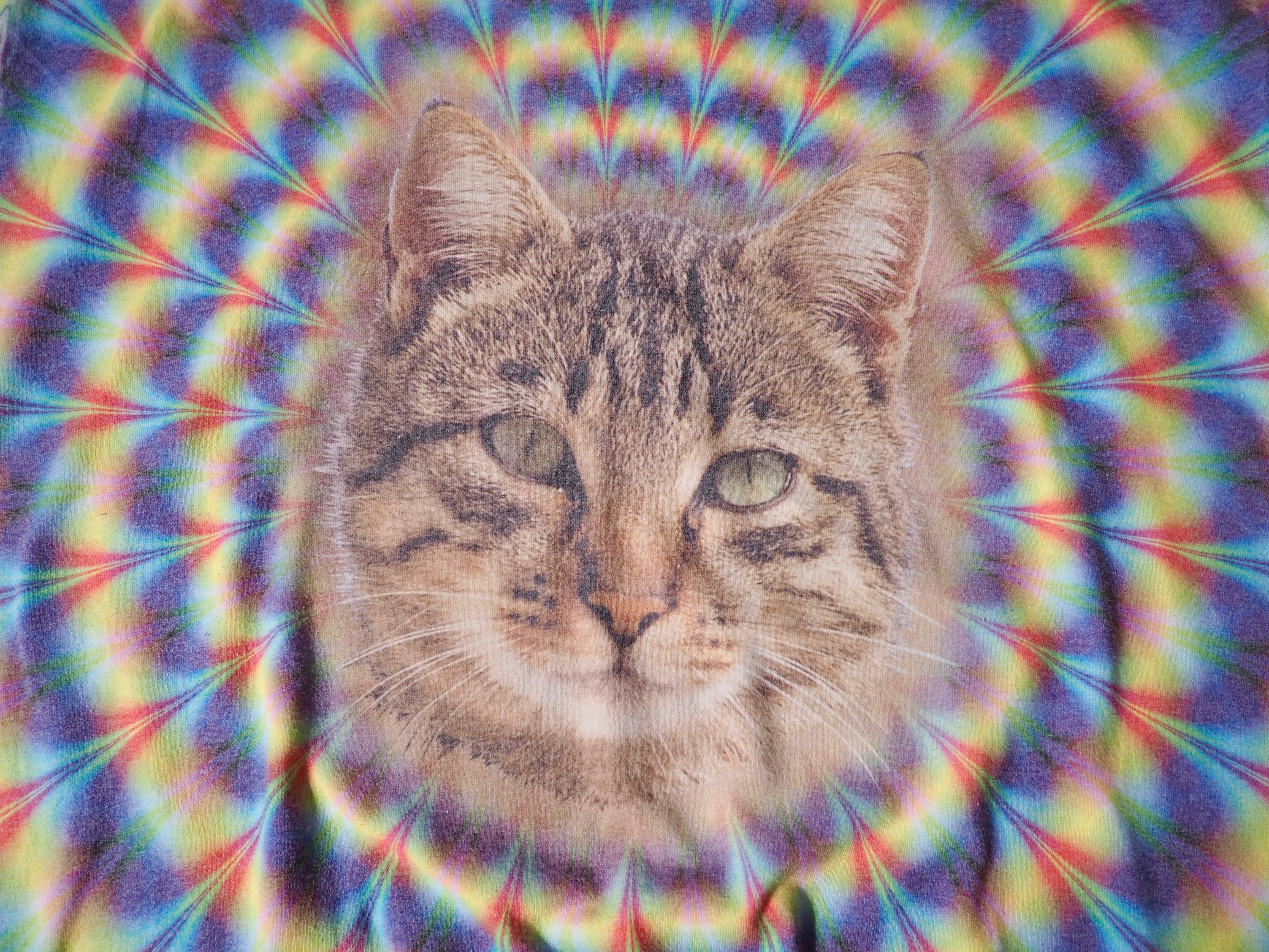 ” Psychedelic cat face ” photo printed loose Tee