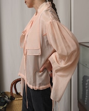 Lanvin / Sheer Blouse