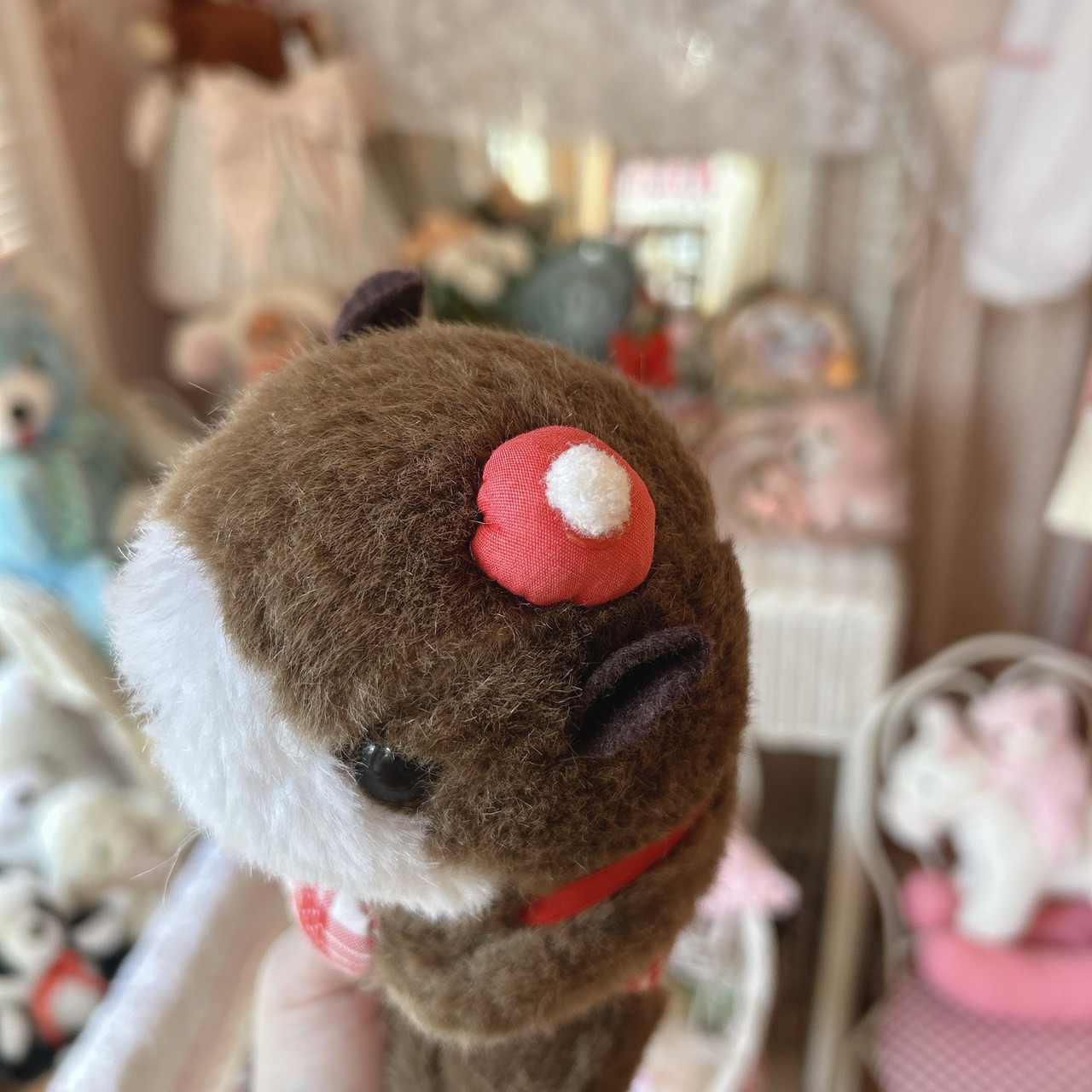 rakko 2setの画像09